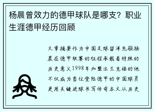 杨晨曾效力的德甲球队是哪支？职业生涯德甲经历回顾