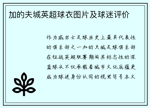 加的夫城英超球衣图片及球迷评价