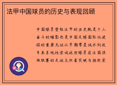 法甲中国球员的历史与表现回顾